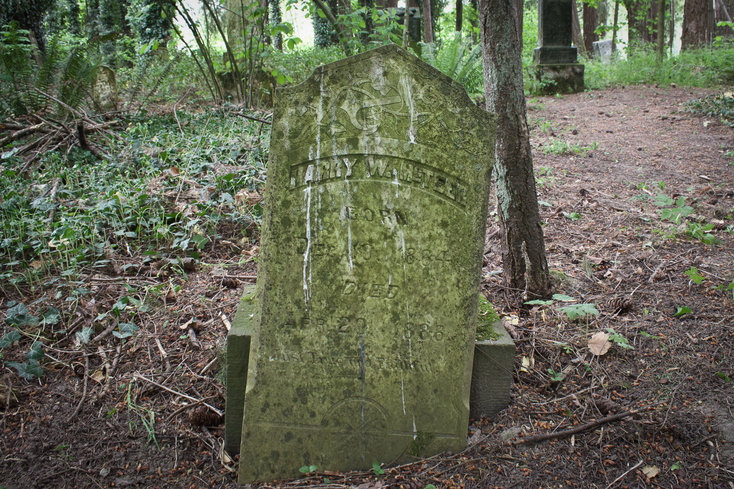 Headstone of Harry McTeer, buried at the Odell Pioneer Cemetery in Dayton, Oregon